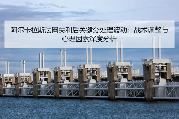a-er-ka-la-si-fa-wang-shi-li-hou-guan-jian-fen-chu-li-bo-dong-zhan-shu-tiao-zheng-yu-xin-li-yin-su-shen-du-fen-xi-2-221.jpg